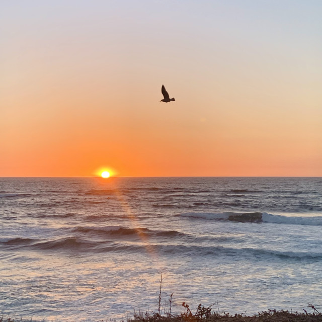 "Sunset 2" by RAD Photography - £9.00 "Sunset 2" stock image