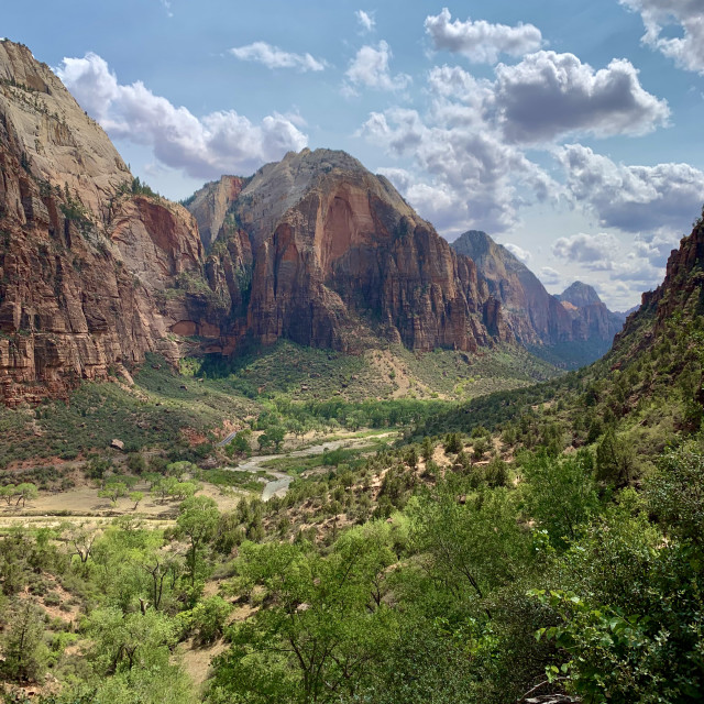 "Zion" by RAD Photography - £9.00 "Zion" stock image