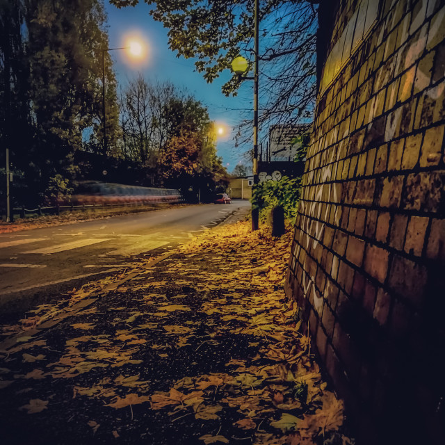 "Autumn is here" stock image