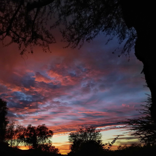 "Arizona Sunset" stock image