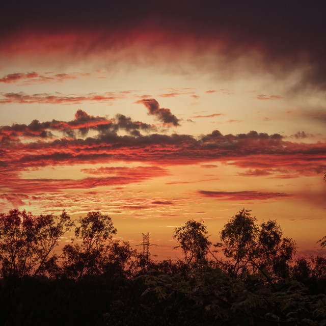 "Sunset Bush Skyline" stock image