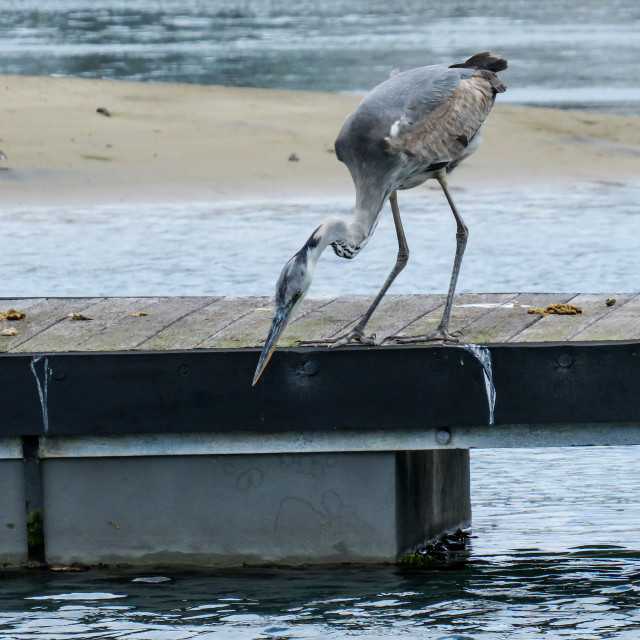 "Fishing" stock image