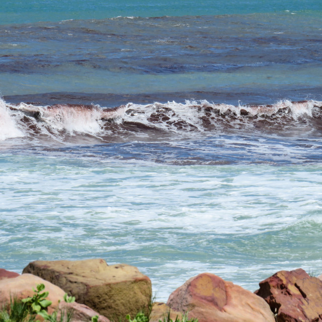 "Red Tide" stock image