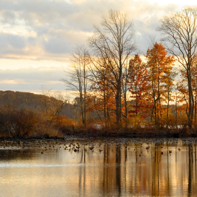 "Late Autumn Sunset" stock image