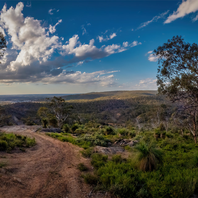 "Bushland Park Scene" stock image