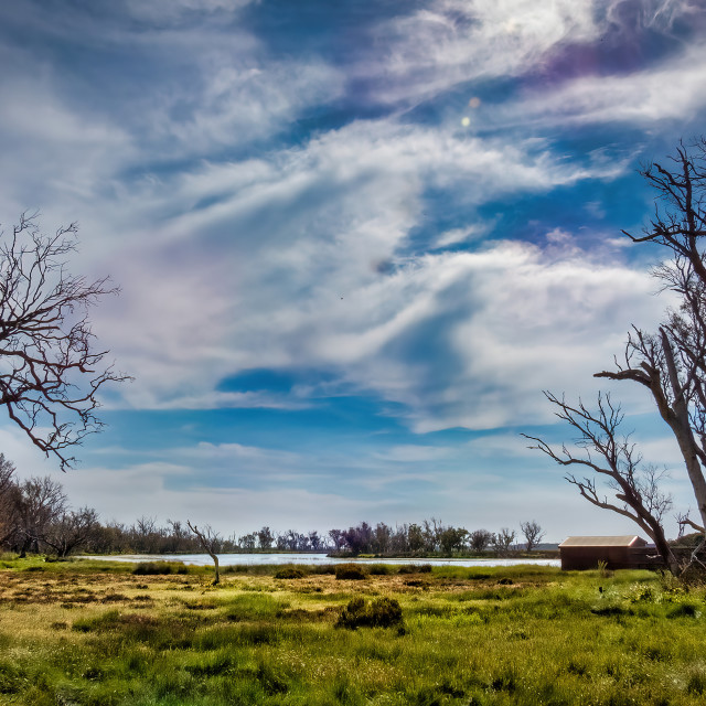 "Wetland Sky" stock image