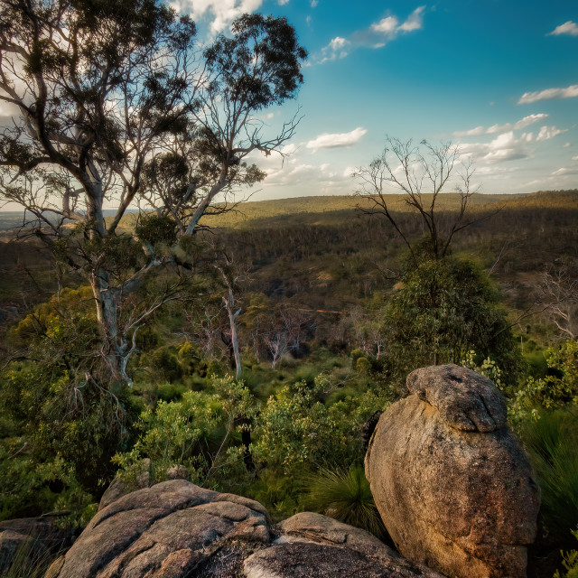 "Bushland Valley Overview" stock image