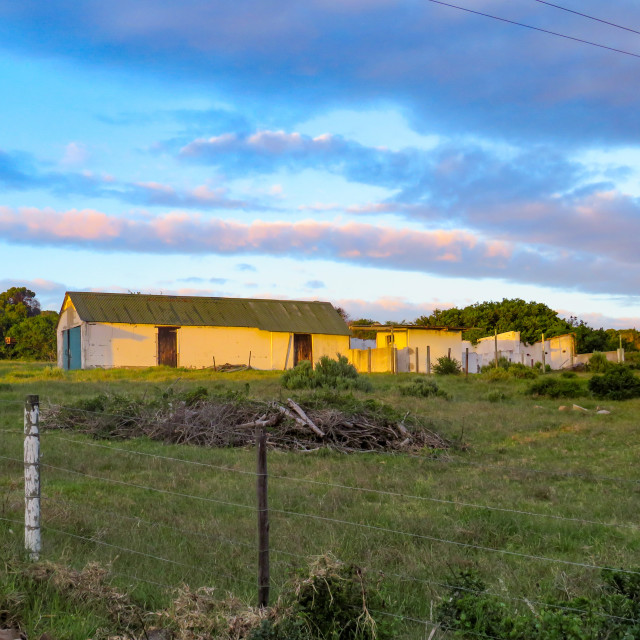 "Farmyard" stock image