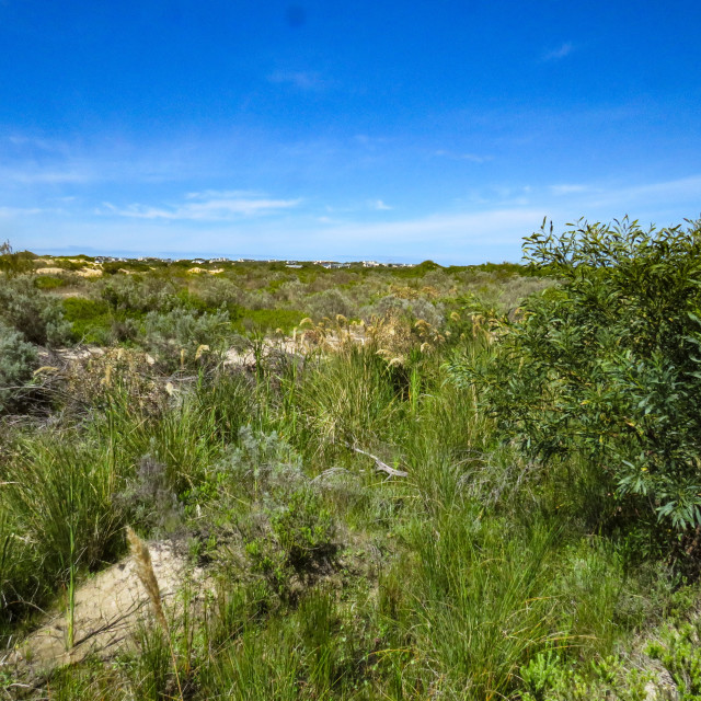 "Dunes ●" stock image