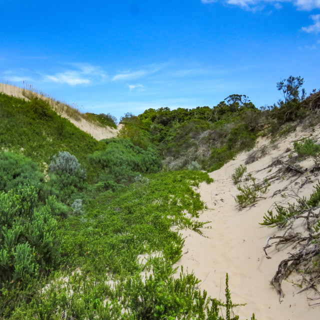 "Dunes ♤" stock image