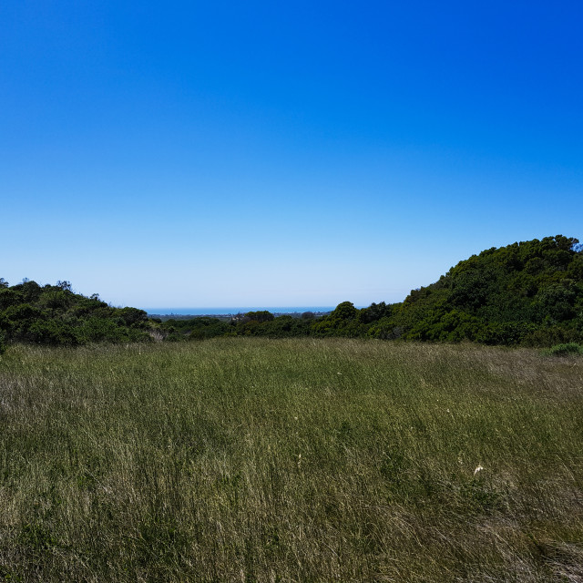 "Dunes View" stock image