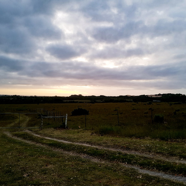 "Farm Driveway" stock image