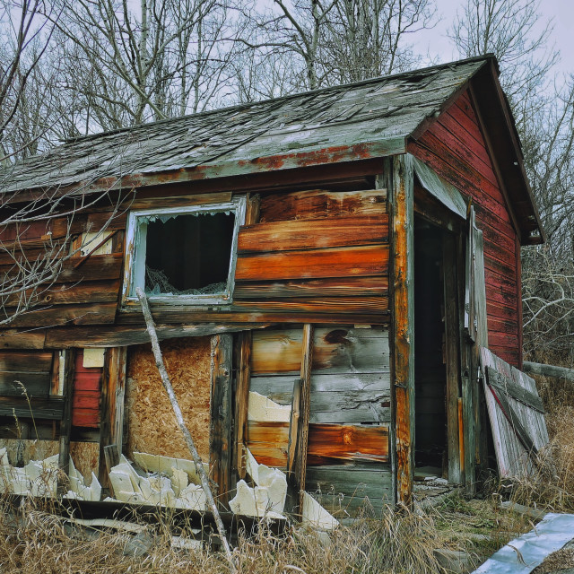 "Shack in the woods" by MLLL Photography - $25.35 "Shack in the woods" stock image