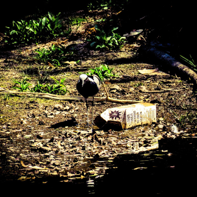 "Plastic Pollution" stock image