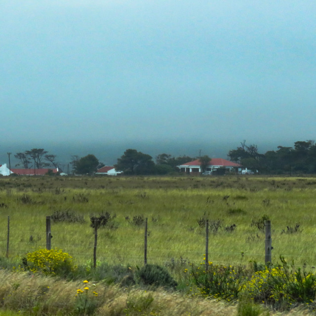 "Misty Day" stock image