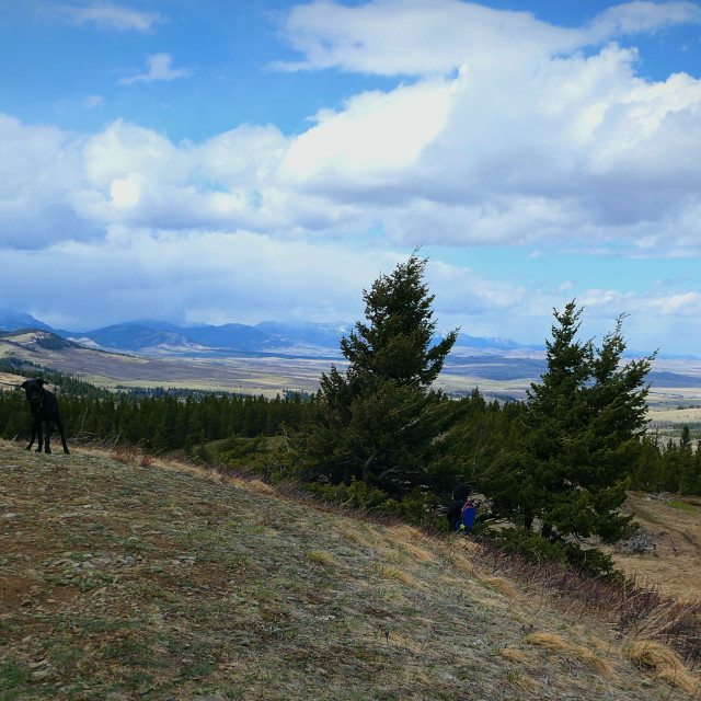 "Family hike" by MLLL Photography - $30.42 "Family hike" stock image