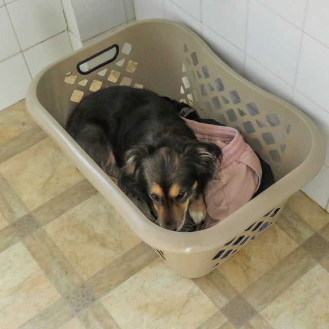 "Wash Day" stock image