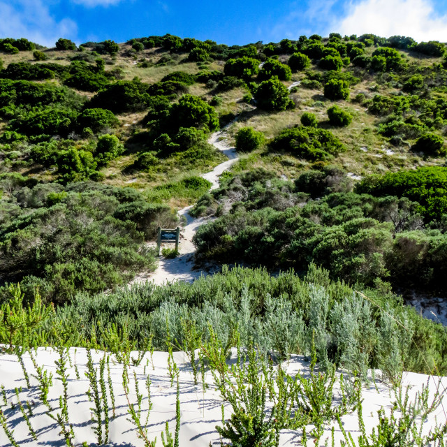 "The Glades Trail ●" stock image