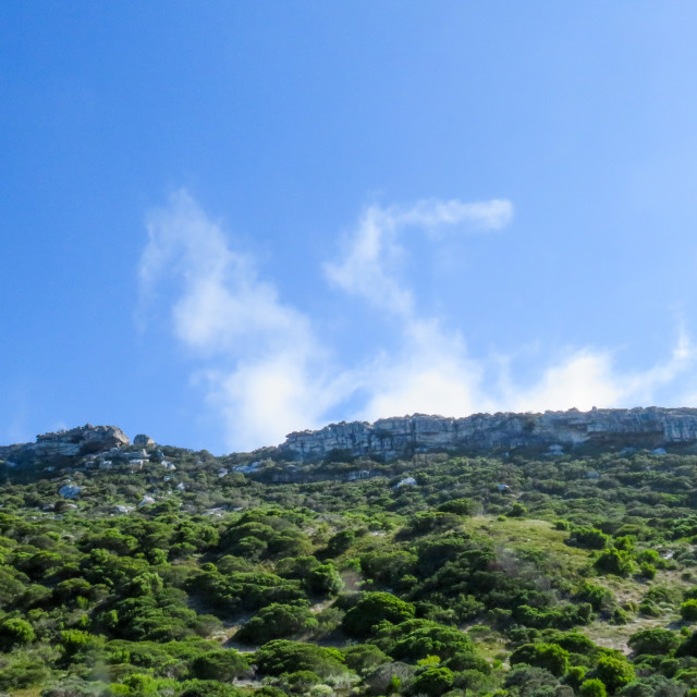 "Razorback Mountains" stock image