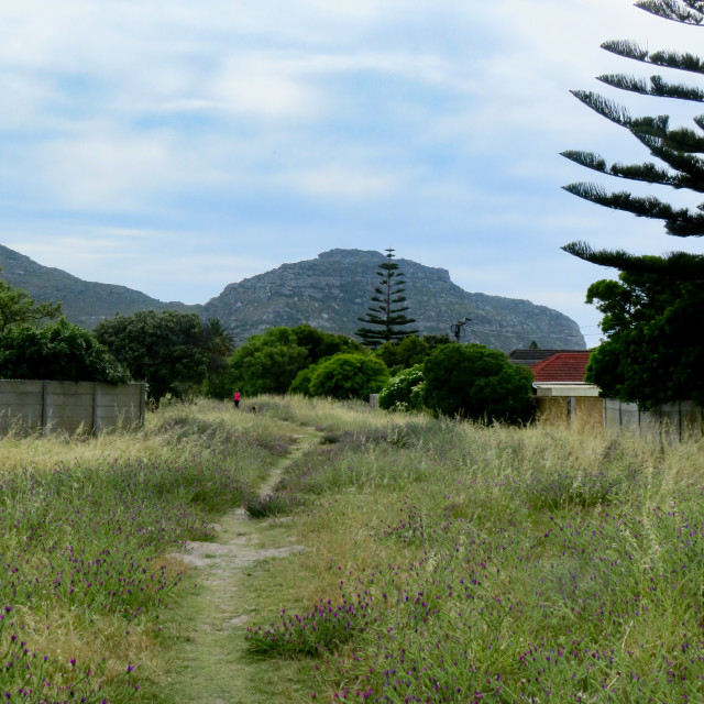 "Mountain Path" stock image