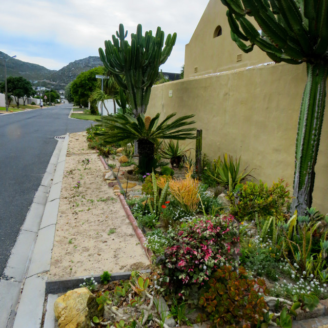 "Sidewalk Garden" stock image