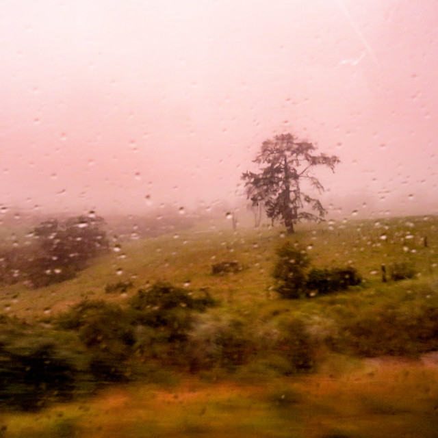 "Misty windows" stock image