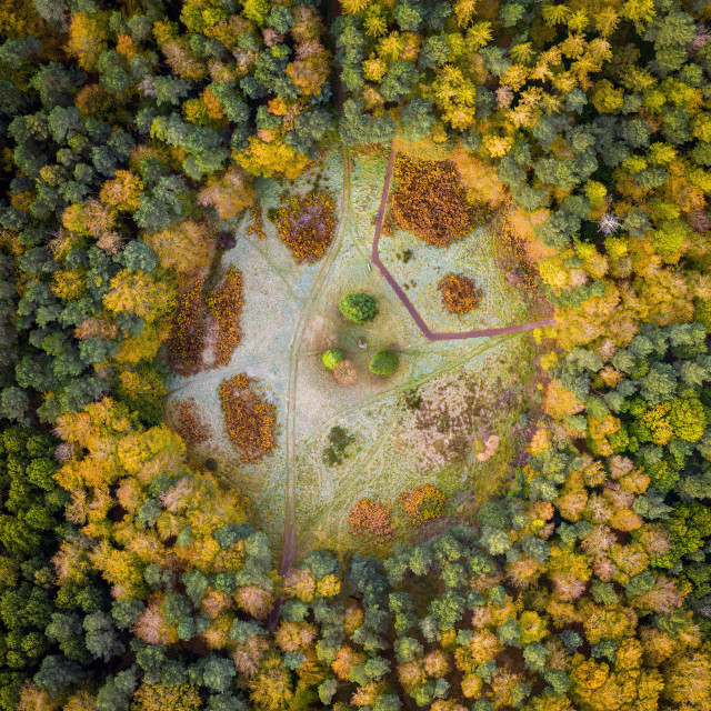 "Binning Memorial Wood, East Lothian" stock image