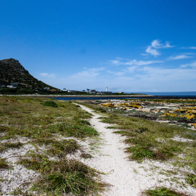 "Path to Slangkop" stock image