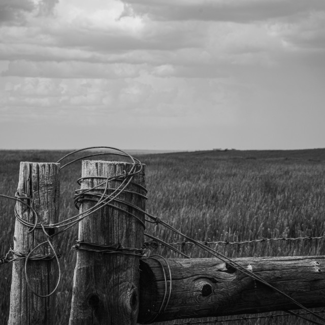 "Fence Post" by West · River · Photography - £11.00 "Fence Post" stock image