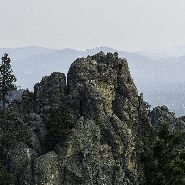 "Black Hills, SD" by West · River · Photography - £15.00 "Black Hills, SD" stock image