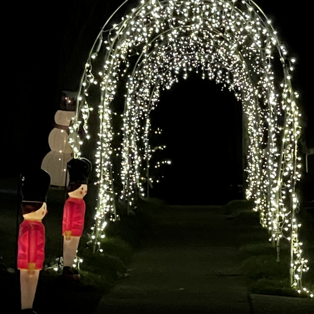 "Christmas Light Archway" stock image