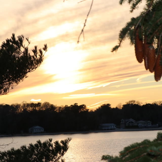 "Pine cone sunset" stock image