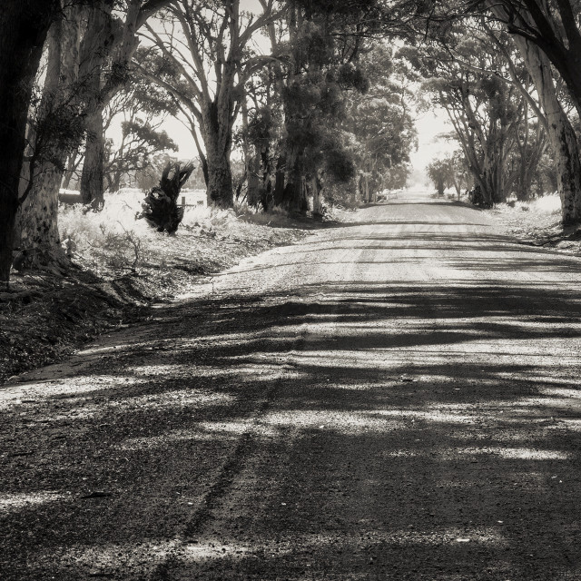 "Wheatbelt Road" stock image