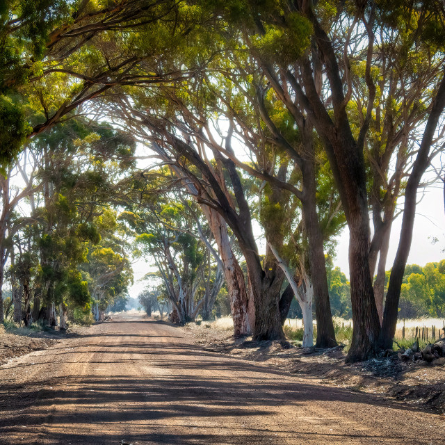 "Wheatbelt Country Ride" stock image