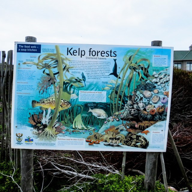 "Kelp Forests Sign" stock image