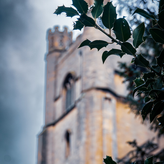 "Great St Mary's, the University Church" stock image