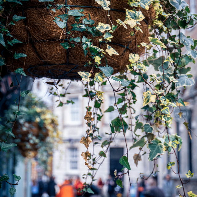 "Bene't Street Cambridge" stock image