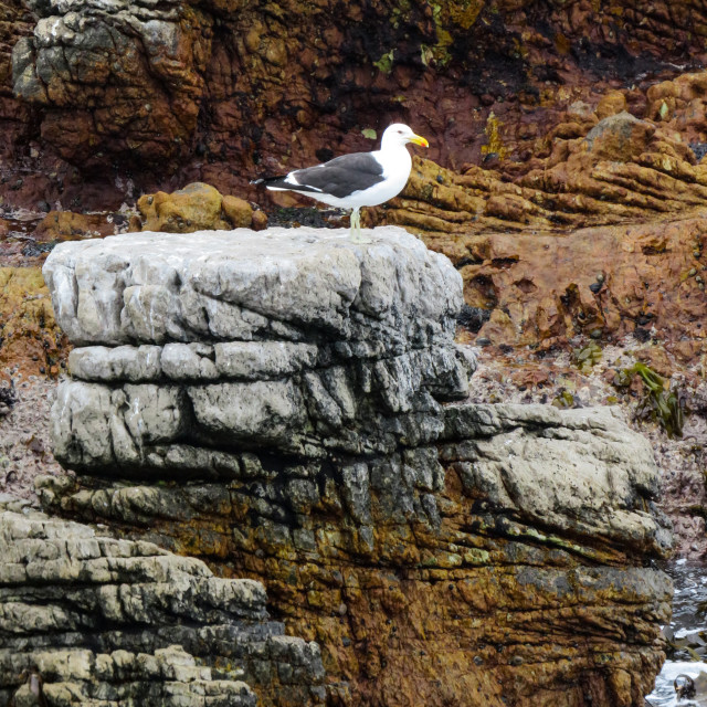 "On the Rock" stock image