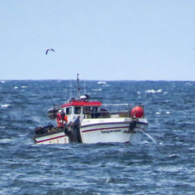 "Boat Coming In" stock image