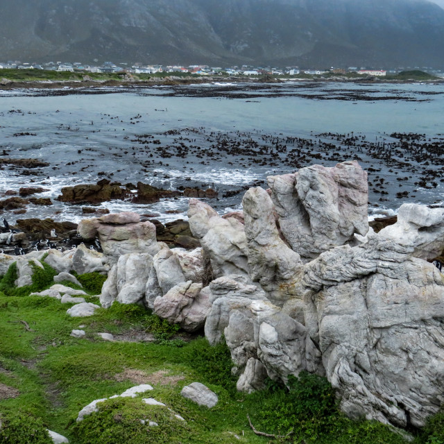 "Betty's Bay □■" stock image