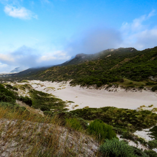 "Dunes ●" stock image