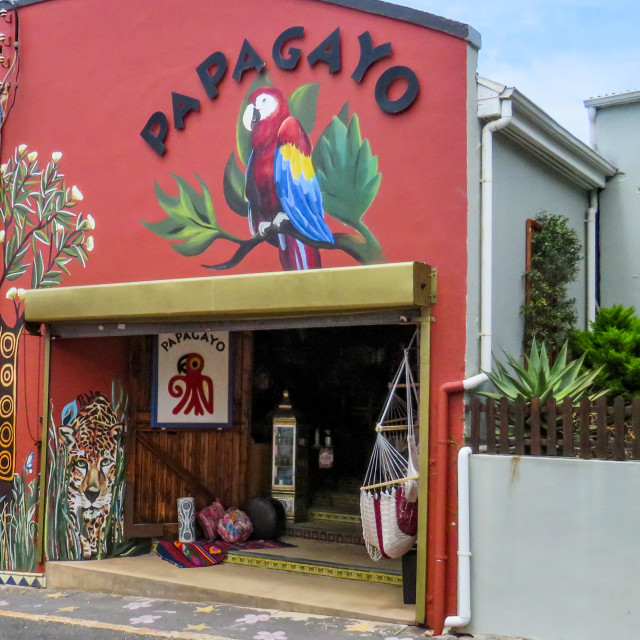 "Papagayo" stock image