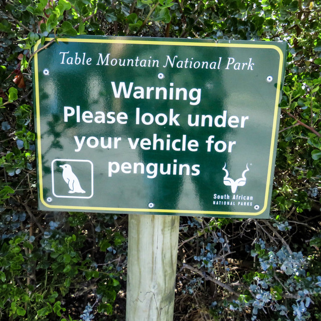 "Penguin Sign" stock image