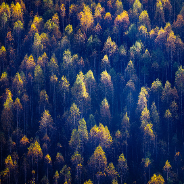"Touched by light" by Tiberiu Sahlean - $6.14 "Touched by light" stock image