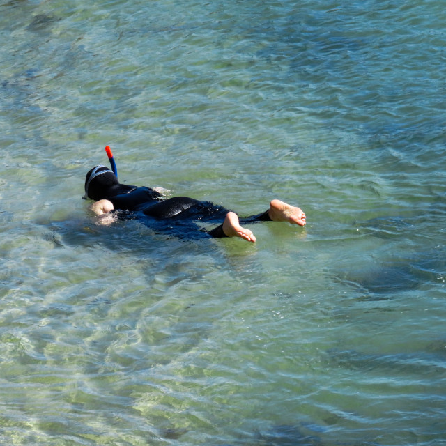 "Snorkeling" stock image