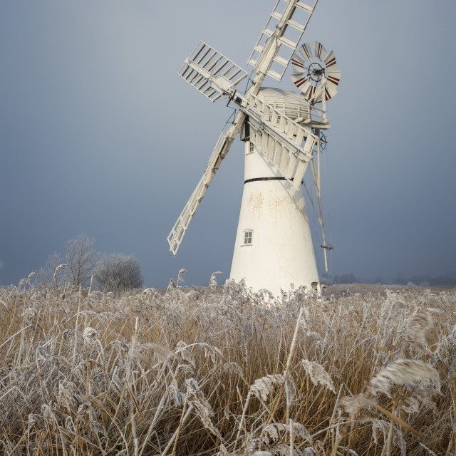 "Frosty Thurne" stock image