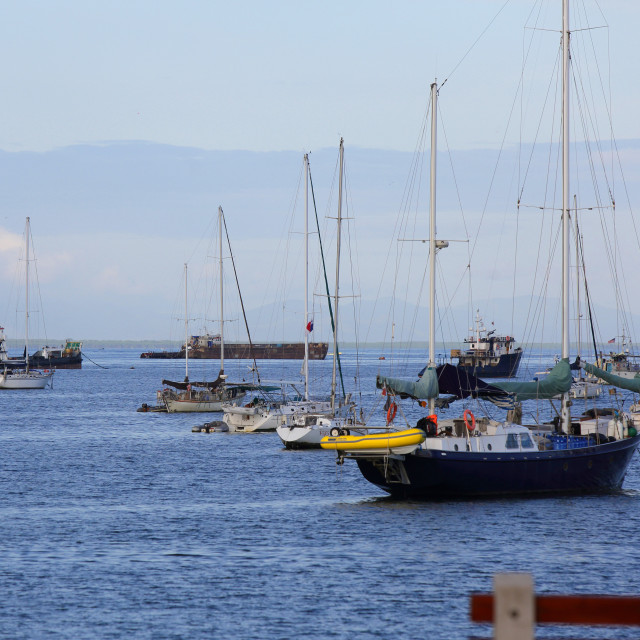 "Barcos en la Bahia de Panama" stock image