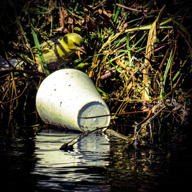 "Plastic Pollution Series ♧●" stock image