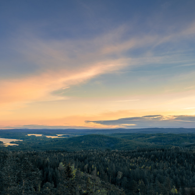 "Up on the forest hills" stock image