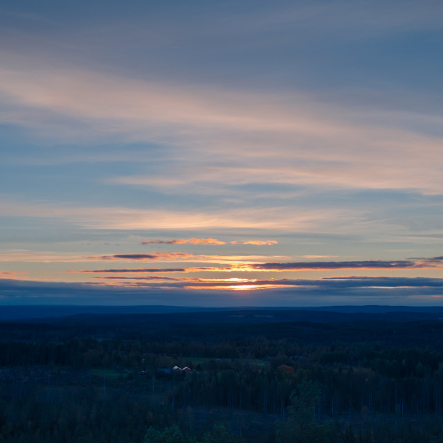 "Blue dawn over the forests" stock image